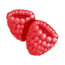 Danimals Smoothies Rockin' Raspberry by Danimals - Tier E kids snack