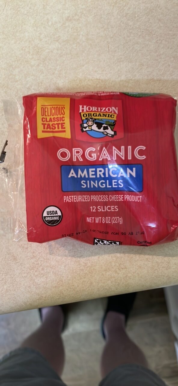 Organic American Singles by Horizon Organic - Tier B kids snack