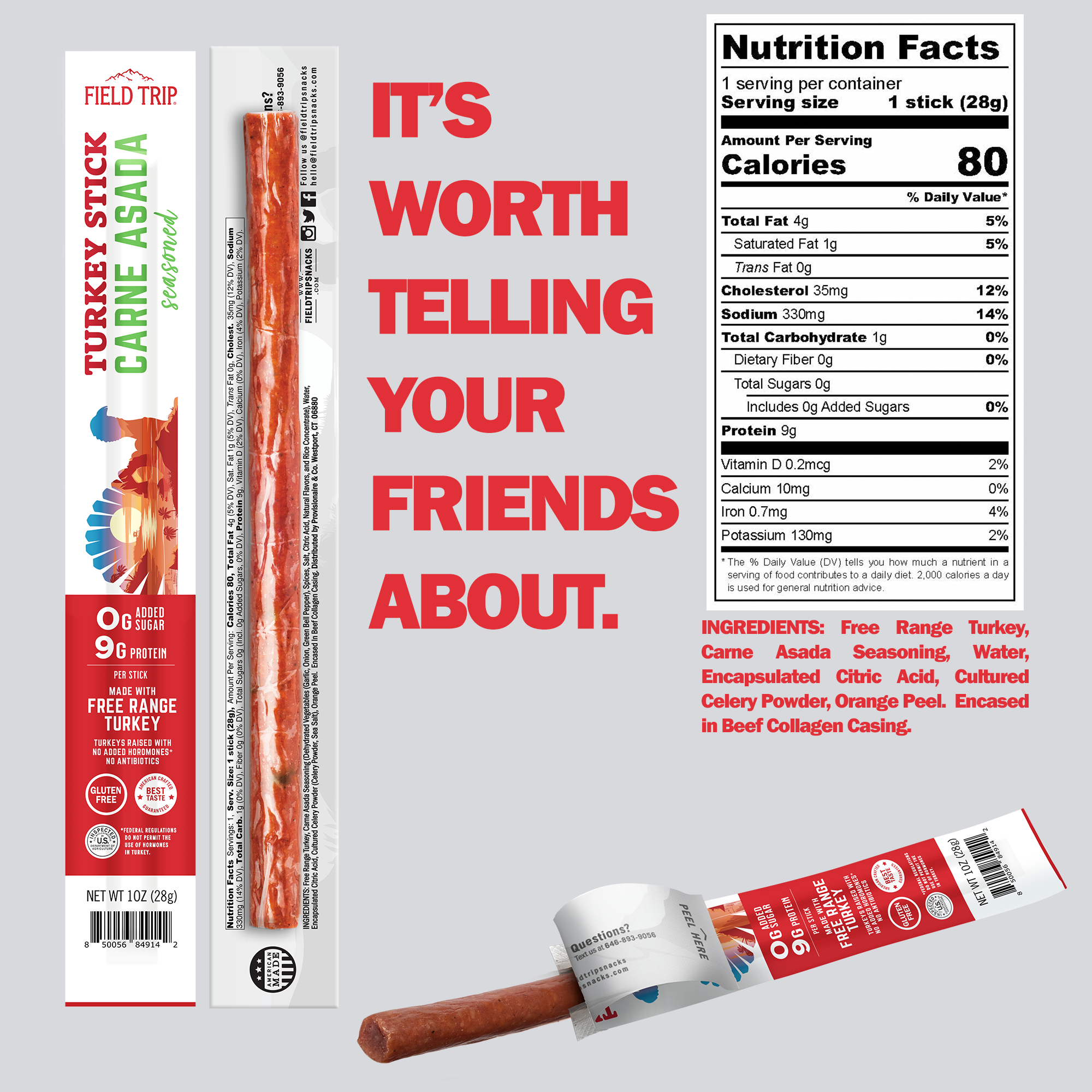 Carne Asada Turkey Stick by Field Trip - Tier A kids snack