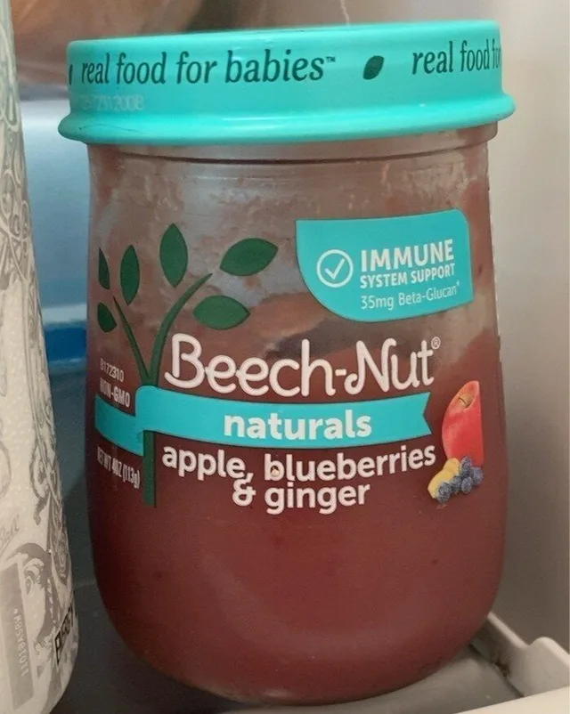 Apple, Blueberries & Ginger by Beech-Nut - Tier A kids snack