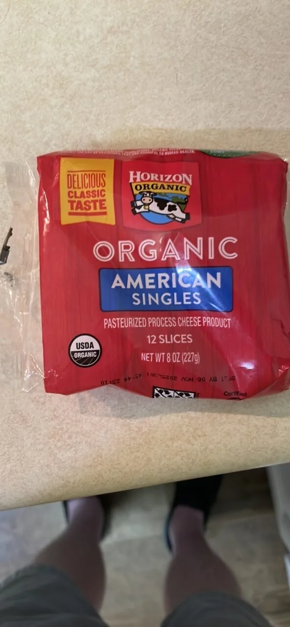Organic American Singles by Horizon Organic - Tier B kids snack