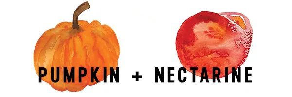Pumpkin Baby Food Puree | Organic Baby Food | White Leaf Provisions by White Leaf Provisions - Tier B kids snack