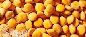 Brami Lupini Beans by Brami - Tier A kids snack
