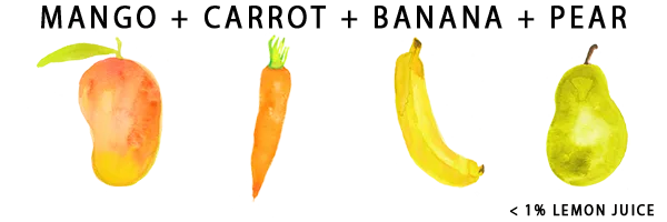 Mango + Carrot + Banana + Pear Puree | White Leaf Provisions Baby Food by White Leaf Provisions - Tier B kids snack
