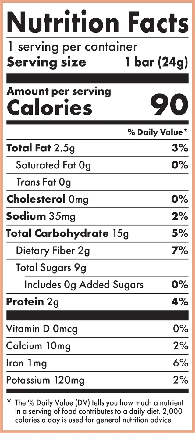 Cinnamon Snickerdoodle Kids Bar by Skout Organic - Tier B kids snack