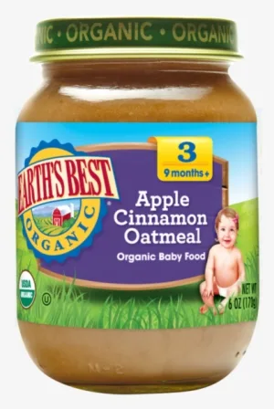 Organic Apple Cinnamon Oatmeal by Earth's Best - Tier E kids snack